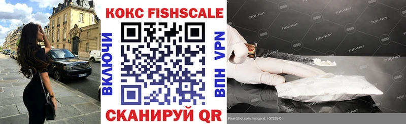 Cocaine FishScale  сколько стоит  Гаджиево 