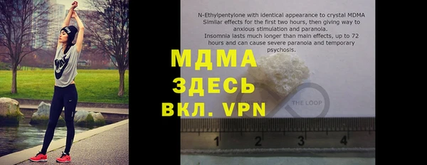 PSILOCYBIN Алзамай