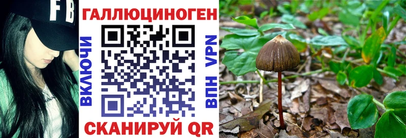 это какой сайт  Гаджиево  Галлюциногенные грибы Magic Shrooms 